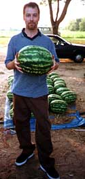 watermelon